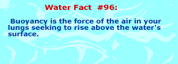 Buoyancy is the force of the air in your lungs seeking to rise above the water's surface.