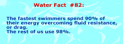 The fastest swimmers spend 90% of their energy overcoming drag. Everyone else uses 98%.