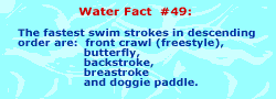 Fastest swim strokes in descending order are freestle, butterfly, backstroke, breaststroke, and doggie paddle.