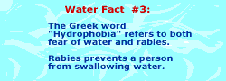 Hydrophobia refers to both fear of water and rabies. Rabies prevents you from swallowing water.