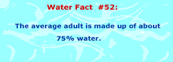 The average adult is made up of 75% water.